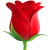 Rose Icon