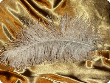 Pštrosí pírko - 60cm (různé barvy)